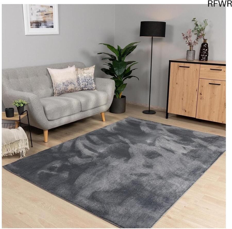 RFWR Vloerkleed Laagpolig Wasbaar Antraciet 160x220 cm Zacht en Modern voor Woonkamer