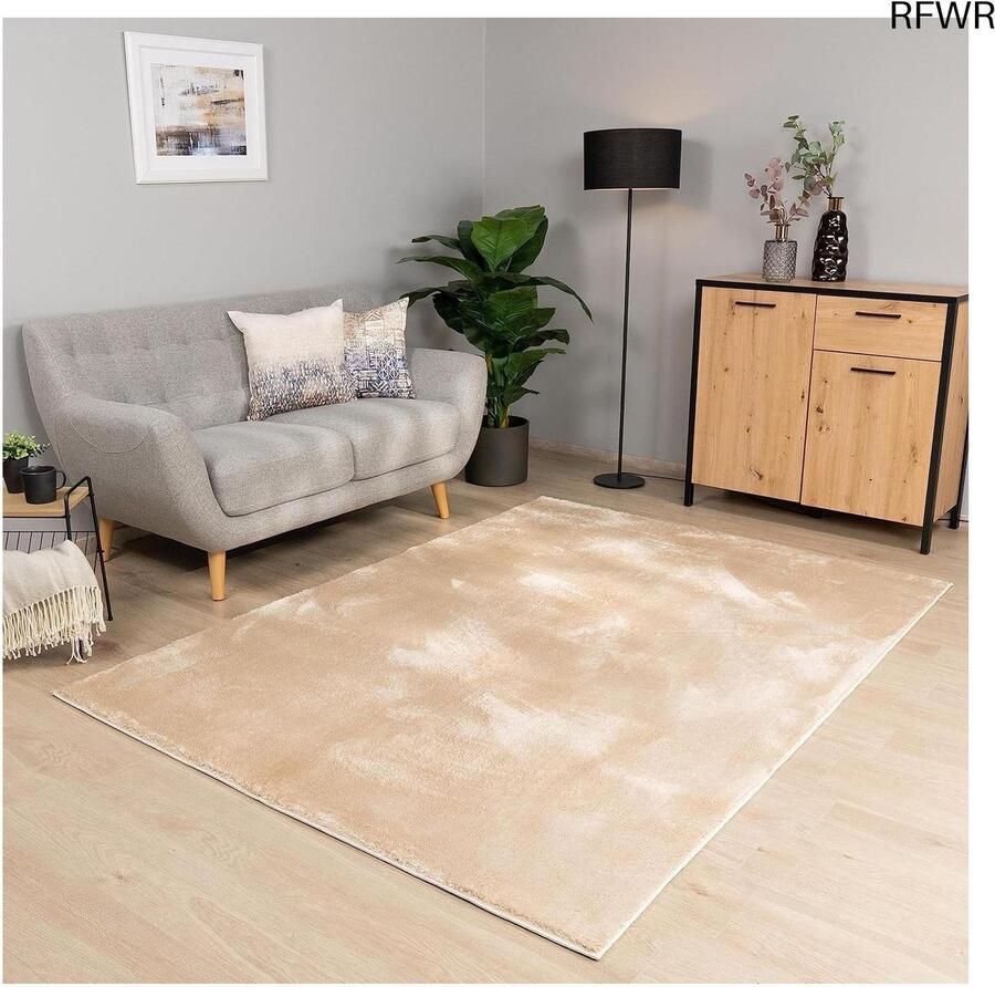 RFWR Vloerkleed Laagpolig Wasbaar Woonkamer 60x100 cm Donkerbeige