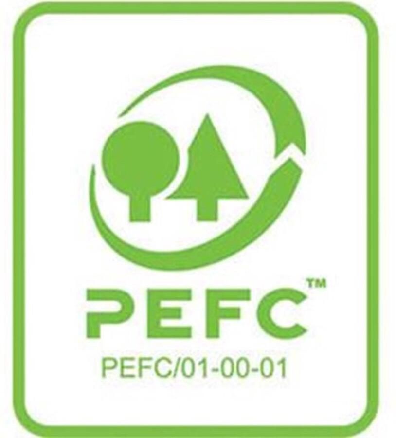 Rhodia 19000C schrijfblok & schrift A4+ 80 vel Oranje