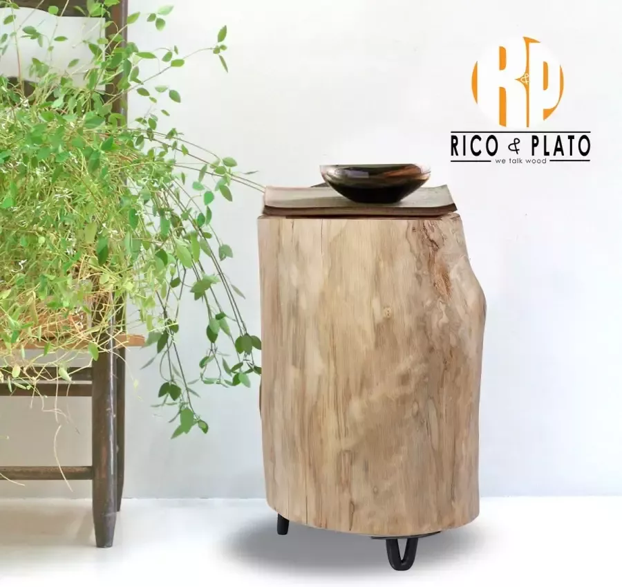 Rico & Plato Houten boomstam kruk bijzettafel 'Tecto' vervaardigd uit teak. Geeft iedere kamer een stoere en natuurlijke uitstraling