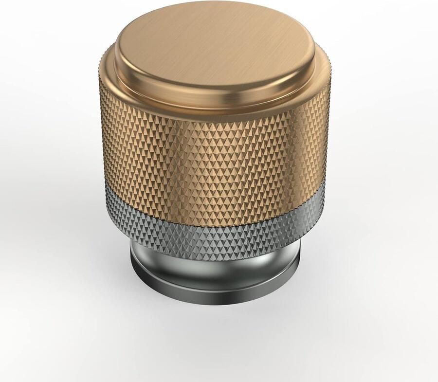 Riokem Set van 10 Luxe Meubelknoppen voor Kasten en Laden in Goud en Grijs