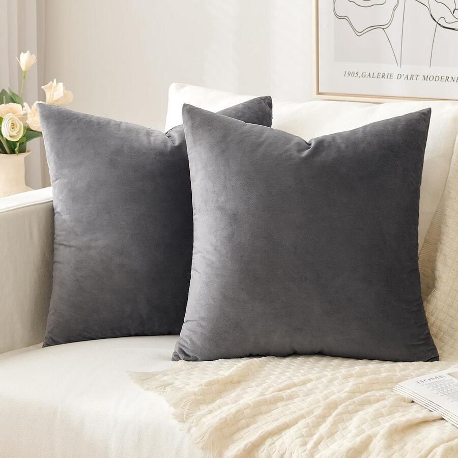 Riokem Set van 2 fluwelen kussenhoezen decoratieve kussenhoes voor huishoudelijk gebruik zacht bankkussen voor bank slaapkamer woonkamer 40 x 40 cm donkergrijs