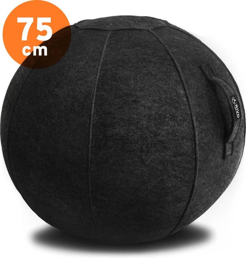 RIVO Lifestyle RIVO Dynabal Zitballen Ø 75cm – Hoogwaardige Ergonomische Zitbal Antraciet