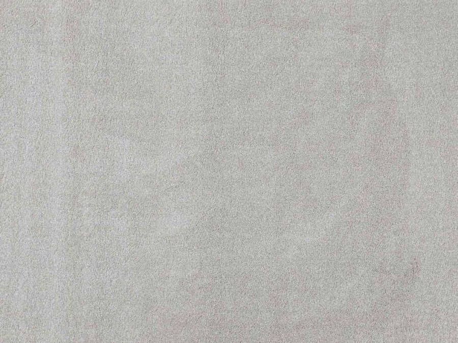 Roobol Vloerkleed Softness Uni zilver 160 x 230 cm