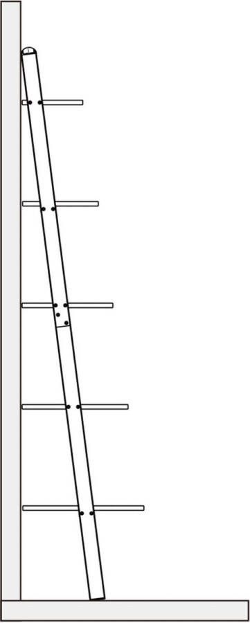 Rootz Living Rootz Leiterregal Ladderplank Trapplank Metalen standaard Houten rek Displayeenheid Boekenkast Wit + Zwart 50x18 5x2 2 inch