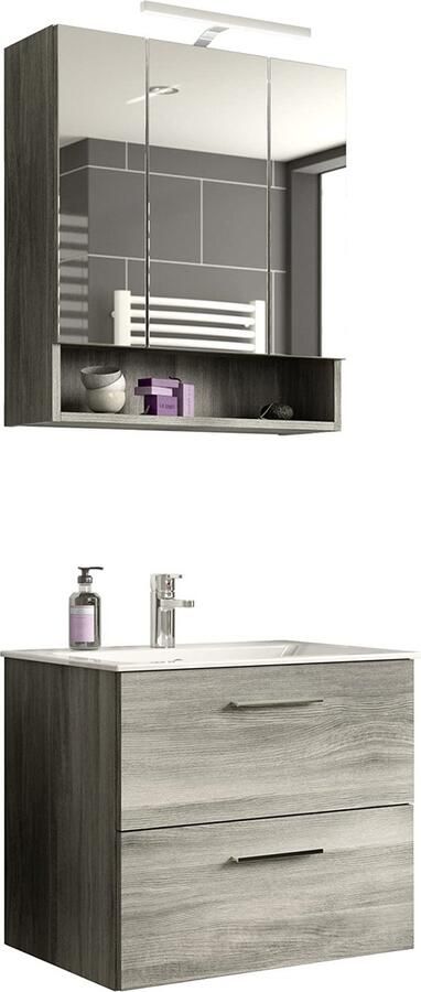 Rootz Living Rootz Badkamermeubelset Wastafelmeubel Spiegelkast Houtmateriaal Rookzilver 60cm x 150cm