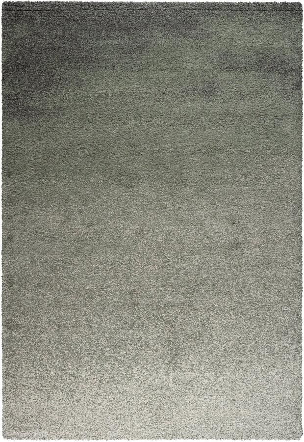 Rugsman Camel 023.0445.6747 Vloerkleed 200 x 290 cm Groen Rectangular Polypropylene Eetkamer Woonkamer Slaapkamer Schakering Modern Industriëel - Foto 2