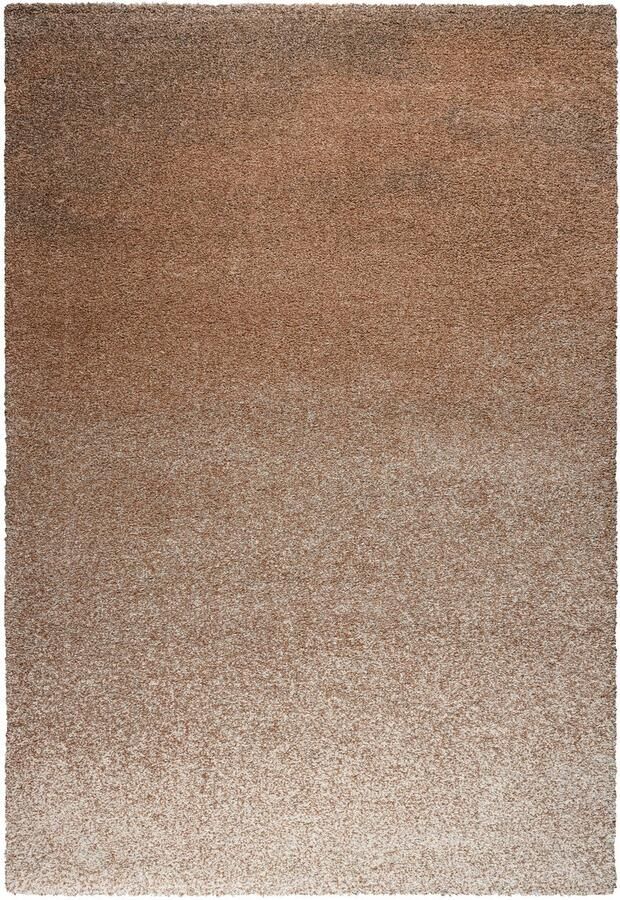 Rugsman Camel 023.0445.6787 Vloerkleed 160 x 230 cm Oranje Rectangular Polypropylene Eetkamer Woonkamer Slaapkamer Schakering Modern Landelijk - Foto 2