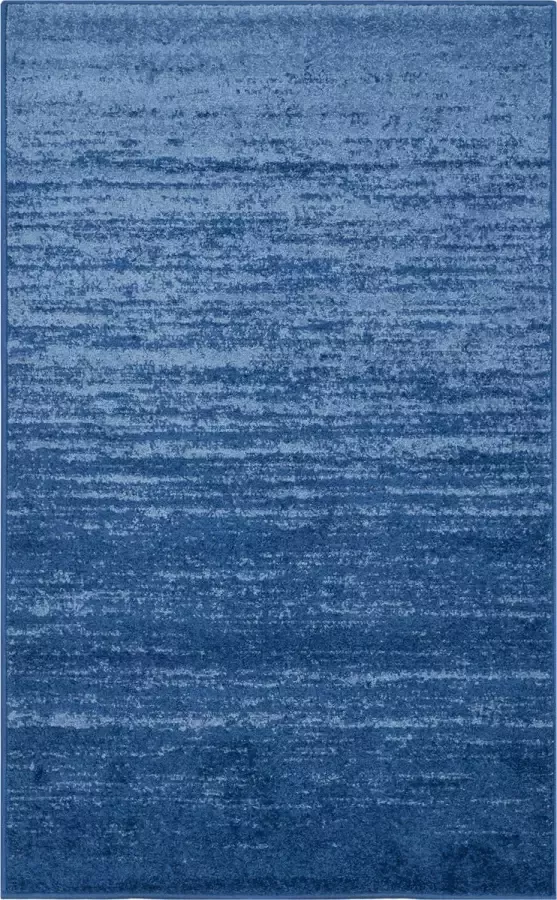 Safavieh Adirondack vloerkleed 120x180 cm Blauw