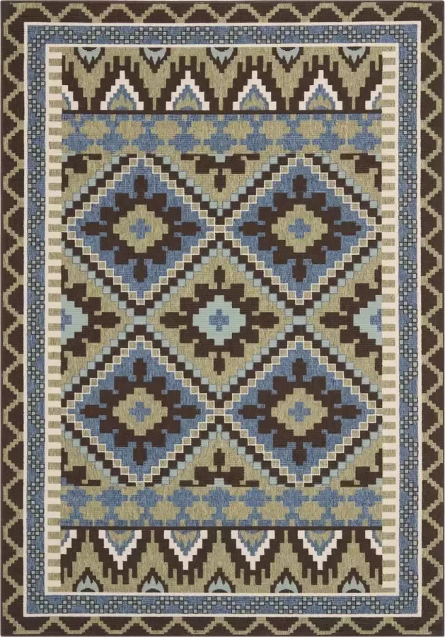 Safavieh Bold & Bright Indoor Geweven Vloerkleed Veranda Collectie VER096 in Groen & Chocolade 122 X 170 cm