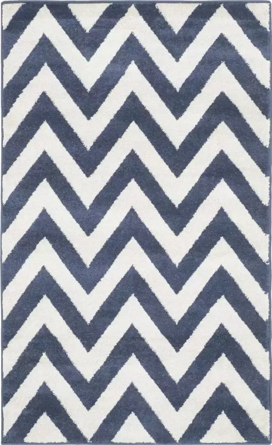 Safavieh Chevron Geweven Binnen Outdoor Vloerkleed Amherst Collectie AMT419 in Lichtgrijs & Beige 91 X 152 cm - Foto 8