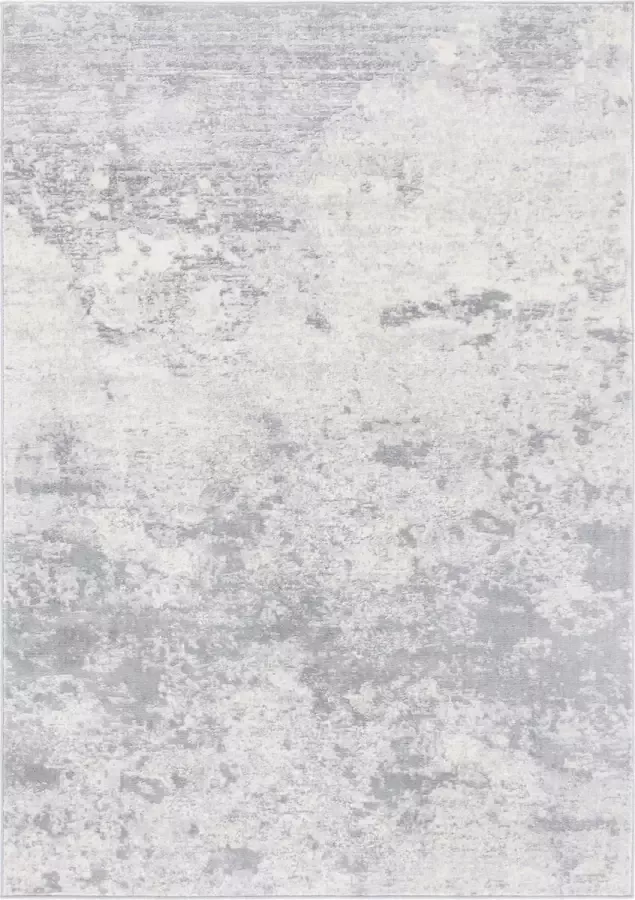 Safavieh Contemporary Woven Indoor Rug Brentwood in Grey 183 X 274 cm