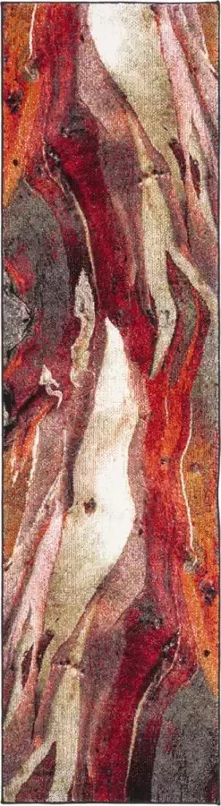 Safavieh Contemporary Woven Indoor Rug Glacier in Red 69 X 244 cm