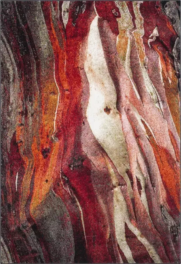 Safavieh Contemporary Woven Indoor Rug Glacier in Red 79 X 152 cm - Foto 2