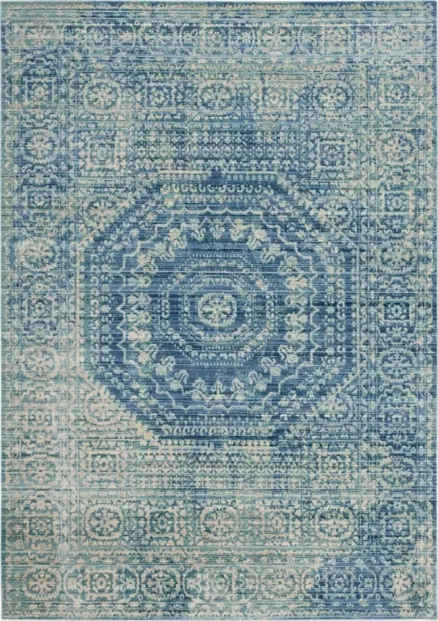 Safavieh Craft Art-geïnspireerd binnengeweven vloerkleed Valencia collectie VAL205 in blauw & multi 244 X 305 cm
