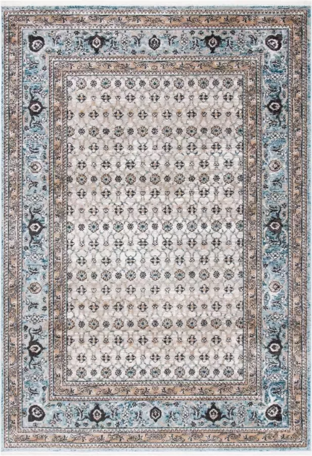 Safavieh Eigentijds Geweven Binnen Vloerkleed Shivan Collectie SHV722 in Grijs & Blauw 160 X 229 cm