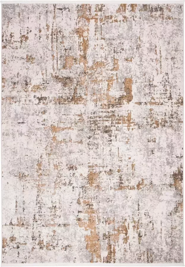 Safavieh Eigentijds Geweven Binnen Vloerkleed Shivan Collectie SHV723 in Grijs & Goud 160 X 229 cm