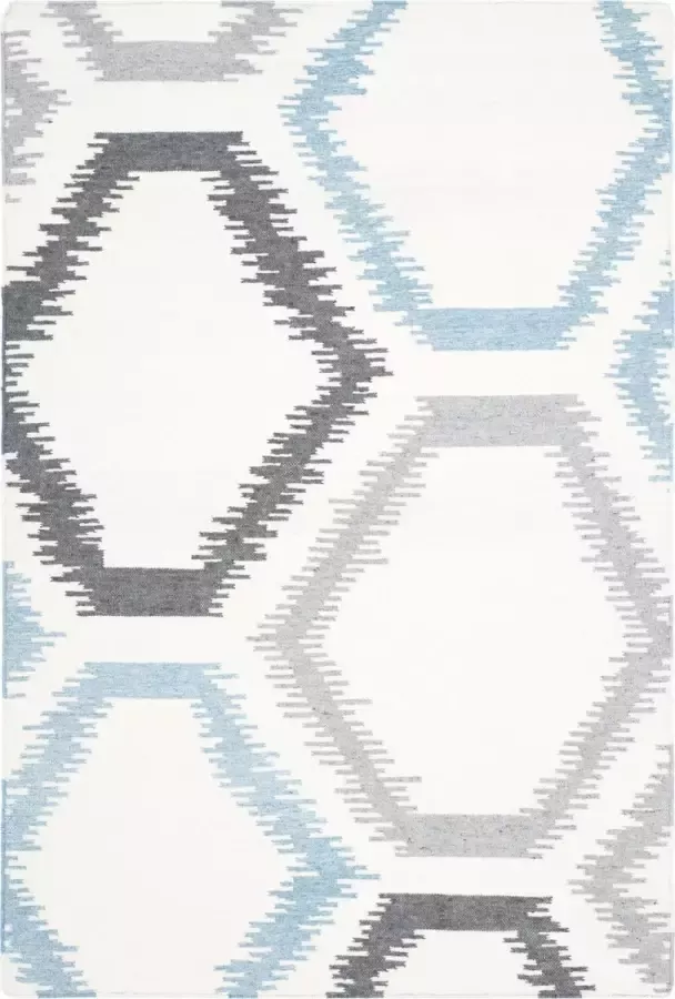 Safavieh Eigentijds Indoor Flatweave Vloerkleed Dhurrie Collectie DHU655 in Ivoor & Multi 122 X 183 cm - Foto 2