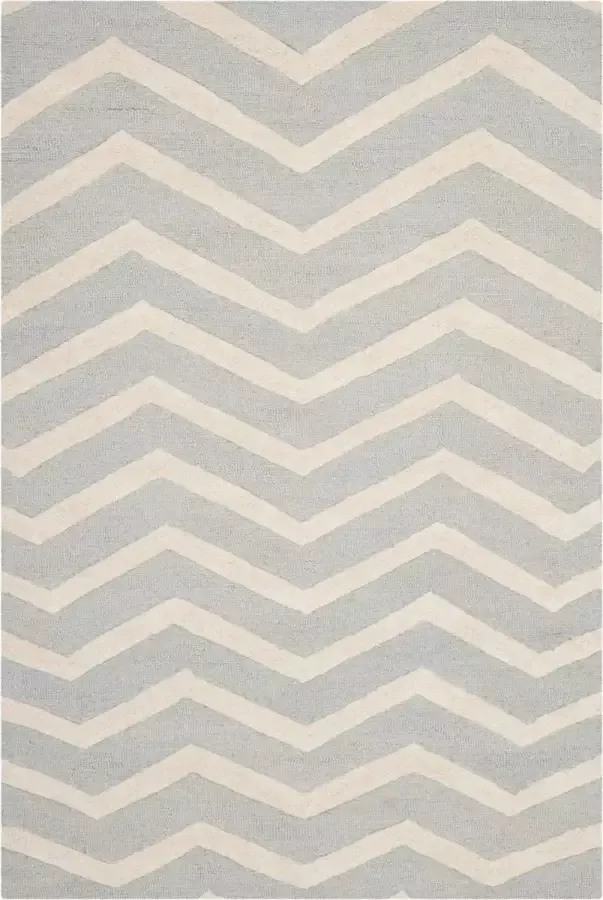 Safavieh Hedendaags Indoor Hand Getuft Vloerkleed Cambridge Collectie CAM714 in Grijs & Ivoor 183 X 274 cm