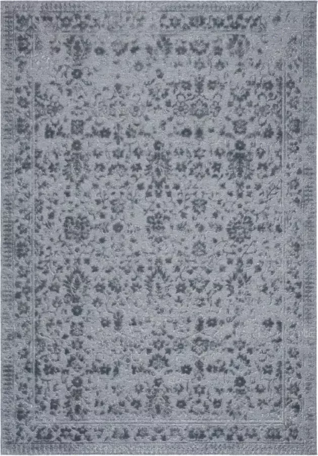 Safavieh Hedendaags Vloerkleed LNA603