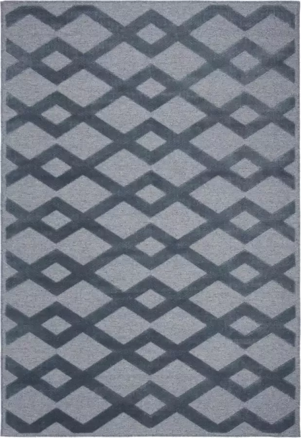 Safavieh Hedendaags Vloerkleed LNA624