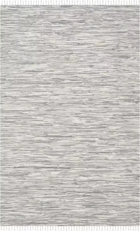 Safavieh Modern Indoor Flatweave Vloerkleed Montauk Collectie MTK753 in Zilver 183 X 274 cm