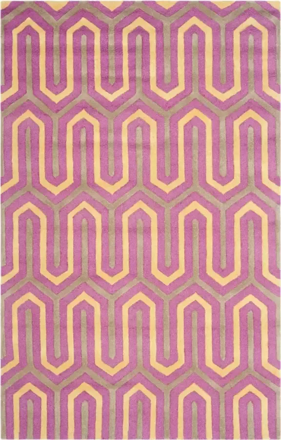 Safavieh Modern Indoor Hand Getuft Vloerkleed Cambridge Collectie CAM351 in Fuchsia & Grijs 122 X 183 cm