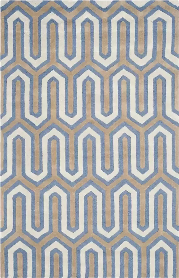 Safavieh Modern Indoor Handgetuft Vloerkleed Cambridge Collectie CAM351 in Navy & Grijs 152 X 244 cm