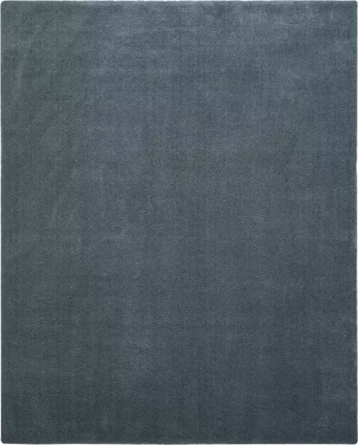 Safavieh Shaggy Geweven Vloerkleed voor Binnen Fluweel Collectie VSG169 in Lichtblauw 201 X 279 cm