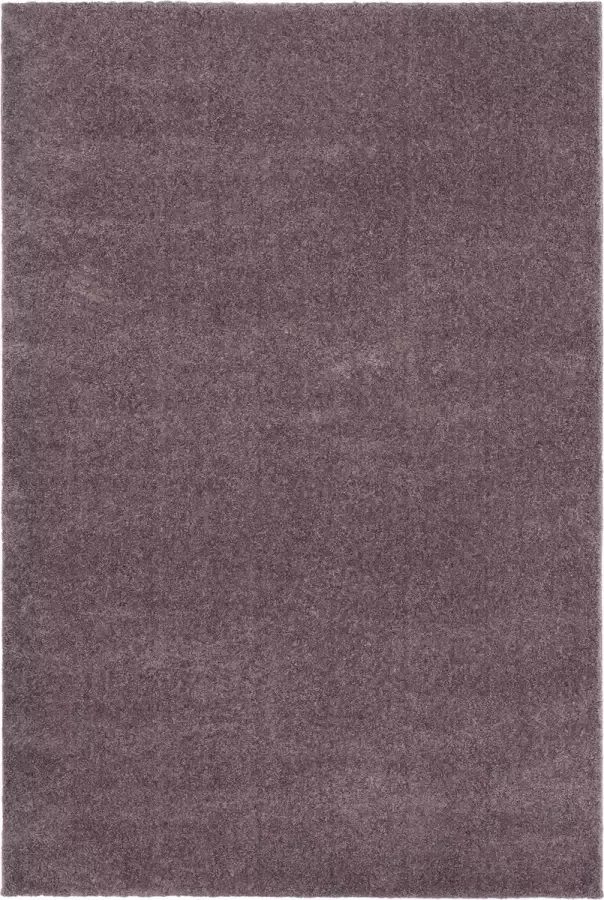 Safavieh Shaggy Geweven Vloerkleed voor Binnen Fluweel Collectie VSG169 in Violet 122 X 183 cm