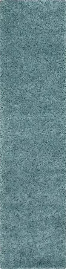 Safavieh Shaggy Geweven Vloerkleed voor Binnen Milan Shag Collectie SG180 in Aqua Blauw 122 X 183 cm