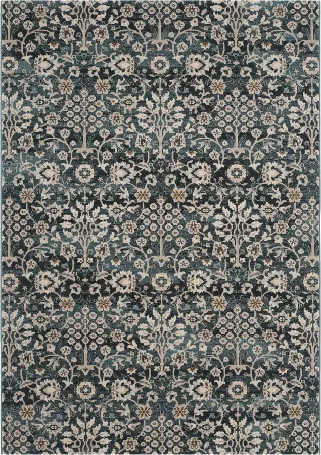 Safavieh Sophisticated Indoor Geweven Vloerkleed Serenity Collectie SER209 in Turquoise & Crème 155 X 229 cm