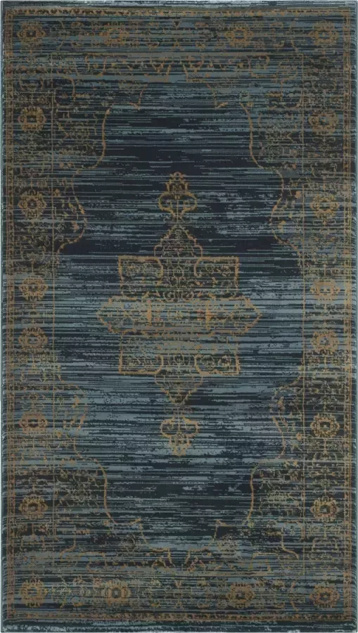 Safavieh Sophisticated Indoor Geweven Vloerkleed Serenity Collectie SER210 in Turquoise & Goud 122 X 183 cm - Foto 2