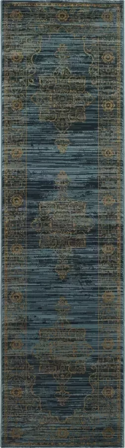 Safavieh Sophisticated Indoor Geweven Vloerkleed Serenity Collectie SER210 in Turquoise & Goud 69 X 244 cm