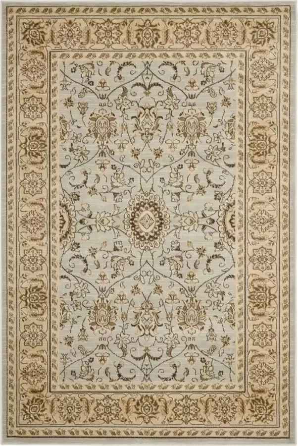 Safavieh Traditioneel Geweven Binnen Vloerkleed Florenteen Collectie FLR127 in Grijs & Ivoor 155 X 231 cm