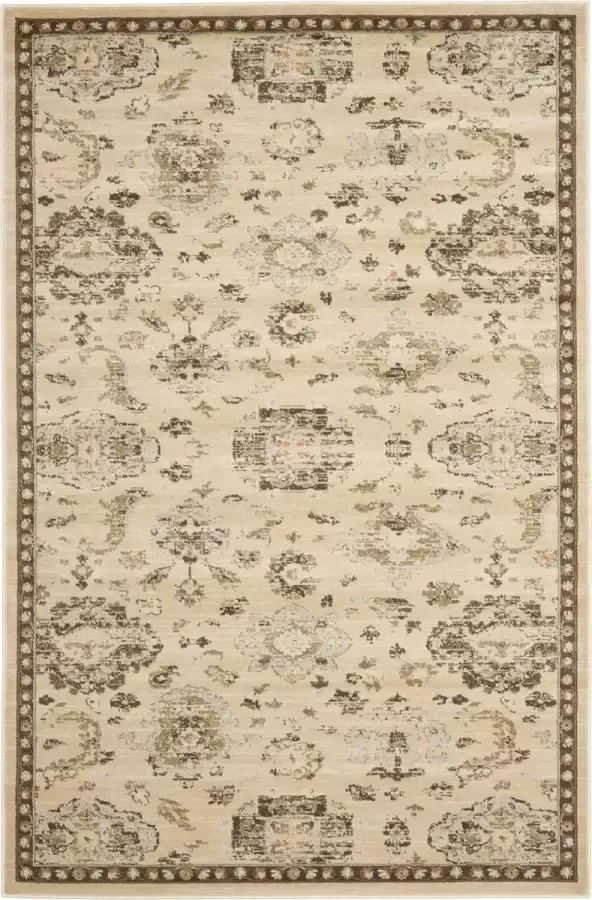 Safavieh Traditioneel Geweven Binnen Vloerkleed Florenteen Collectie FLR128 in Ivoor & Bruin 155 X 231 cm