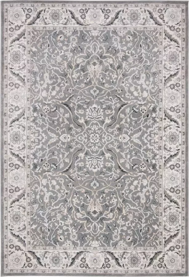 Safavieh Traditioneel Geweven Binnen Vloerkleed Isabella Collectie ISA912 in Grijs & Donkergrijs 183 X 274 cm