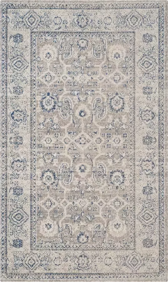 Safavieh Traditioneel Geweven Binnen Vloerkleed Patina Collectie PTN322 in Taupe & Ivoor 122 X 183 cm