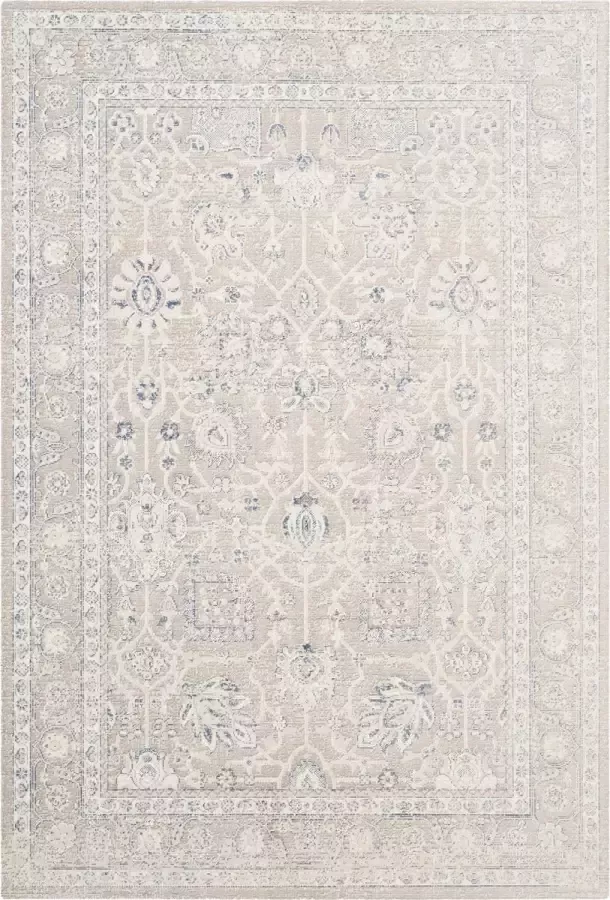 Safavieh Traditioneel Geweven Binnen Vloerkleed Patina Collectie PTN326 in Taupe & Taupe 155 X 229 cm