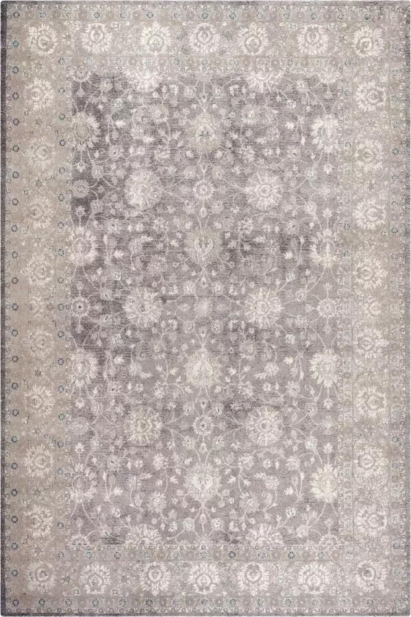 Safavieh Traditioneel Geweven Binnen Vloerkleed Sofia Collectie SOF330 in Licht Grijs & Beige 244 X 335 cm