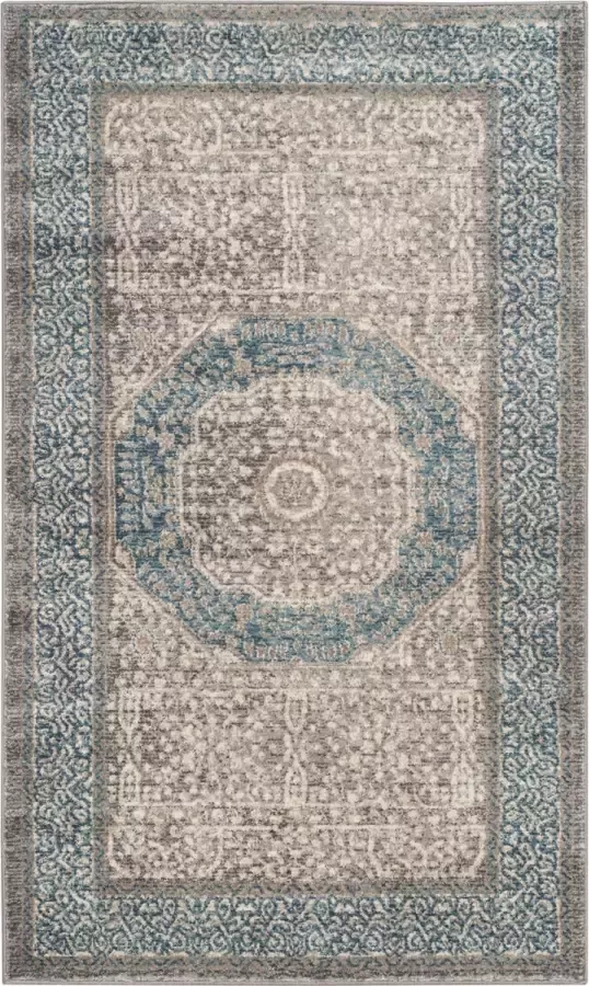 Safavieh Traditioneel Geweven Binnen Vloerkleed Sofia Collectie SOF365 in Licht Grijs & Blauw 244 X 335 cm