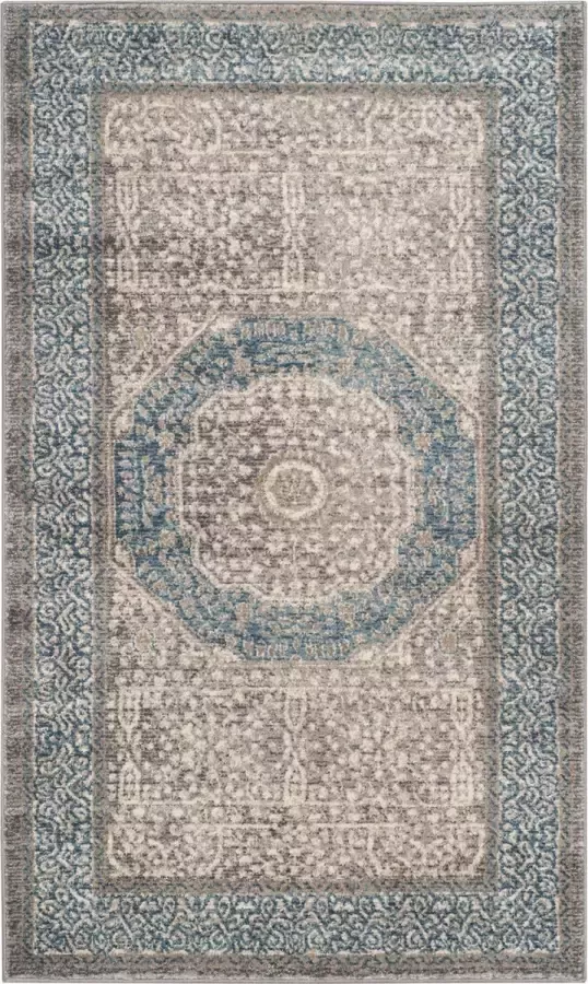 Safavieh Traditioneel Geweven Binnen Vloerkleed Sofia Collectie SOF365 in Licht Grijs & Blauw 91 X 152 cm