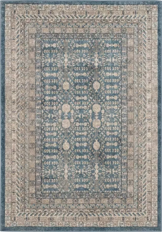 Safavieh Traditioneel Geweven Binnen Vloerkleed Sofia Collectie SOF376 in Blauw & Beige 122 X 170 cm