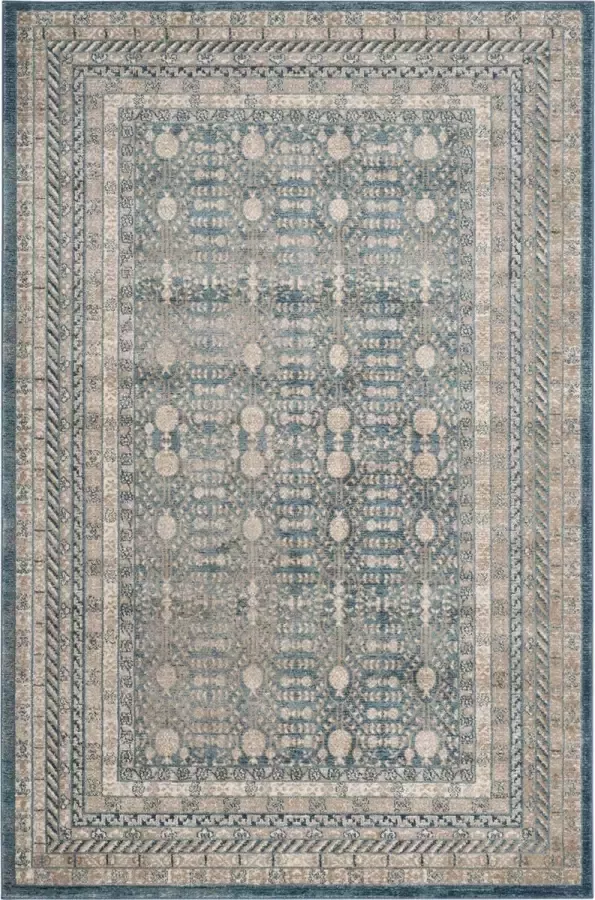 Safavieh Traditioneel Geweven Binnen Vloerkleed Sofia Collectie SOF376 in Blauw & Beige 155 X 231 cm