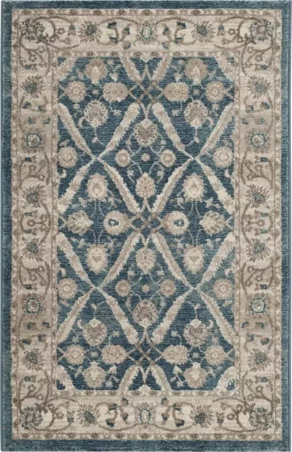 Safavieh Traditioneel Geweven Binnen Vloerkleed Sofia Collectie SOF378 in Blauw & Beige 66 X 183 cm