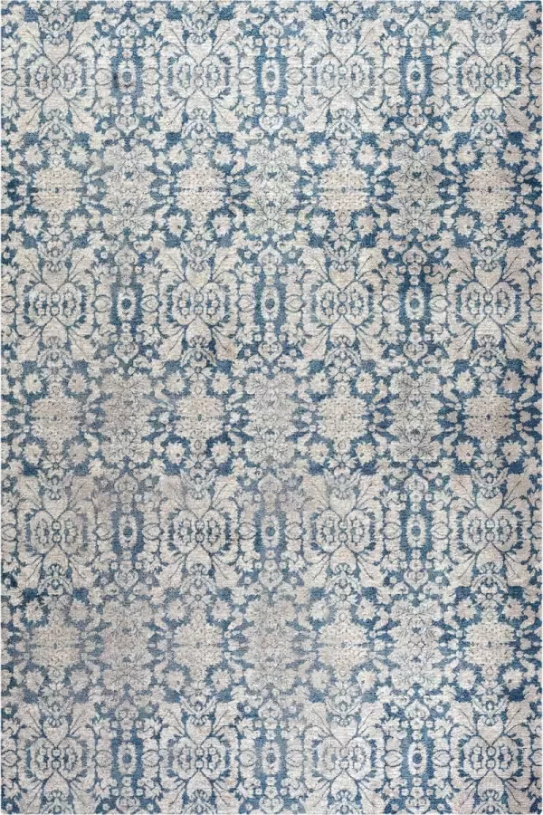 Safavieh Traditioneel Geweven Binnen Vloerkleed Sofia Collectie SOF381 in Blauw & Beige 201 X 279 cm