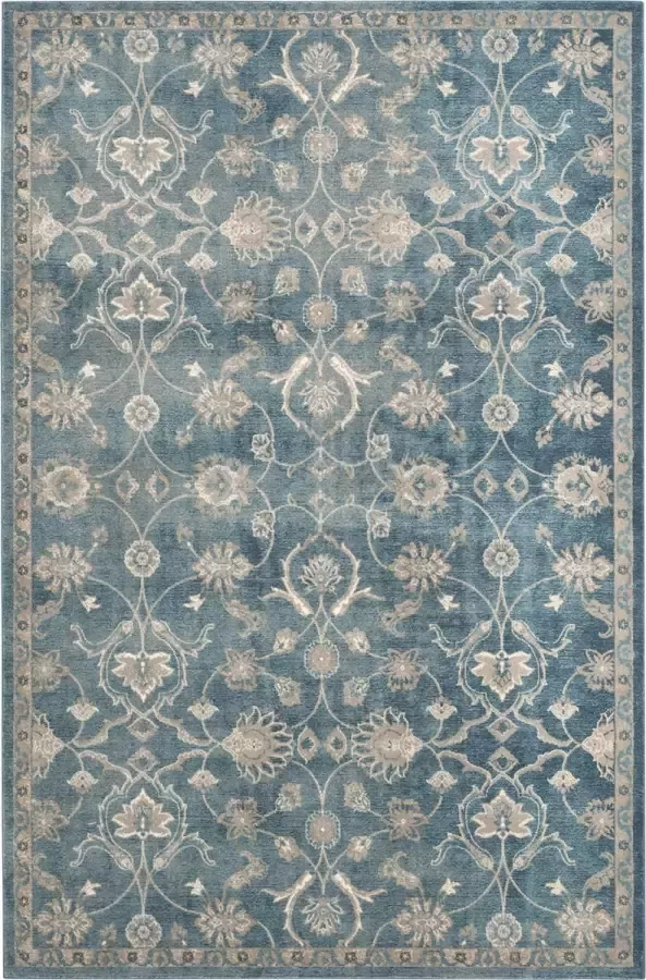 Safavieh Traditioneel Geweven Binnen Vloerkleed Sofia Collectie SOF386 in Blauw & Beige 244 X 335 cm