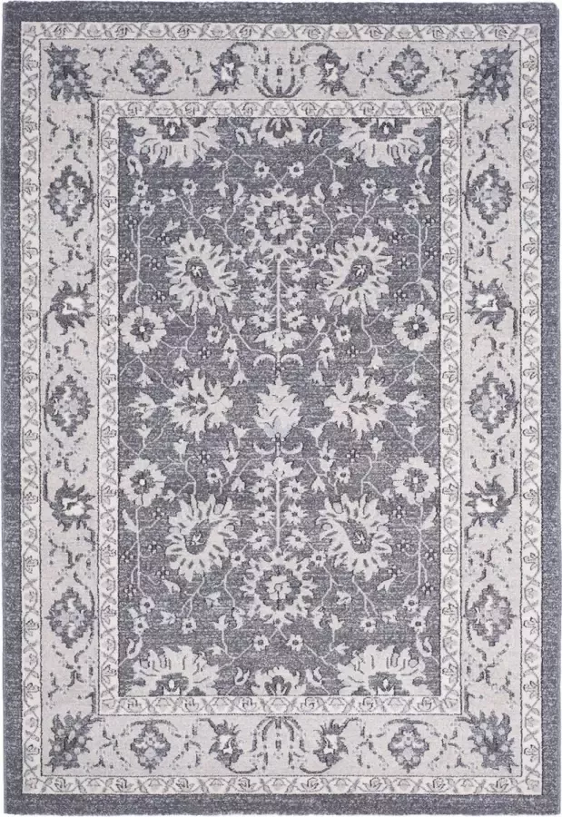 Safavieh Traditioneel Geweven Binnenvloerkleed Carmel Collectie CAR277 in Donkergrijs & Beige 155 X 229 cm