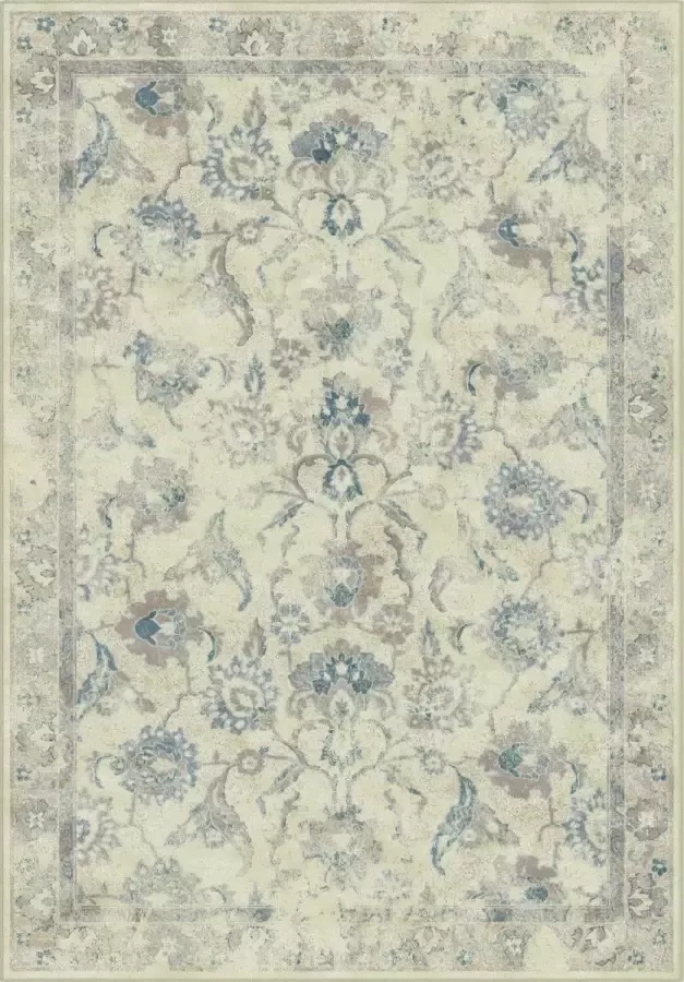 Safavieh Traditioneel Geweven Binnenvloerkleed Vintage Collectie VTG115 in Steen & Blauw 244 X 340 cm