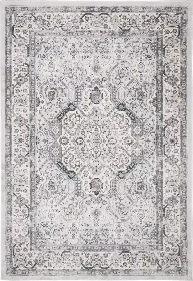 Safavieh Transitional Woven Indoor Rug Isabella in Grey 122 X 183 cm